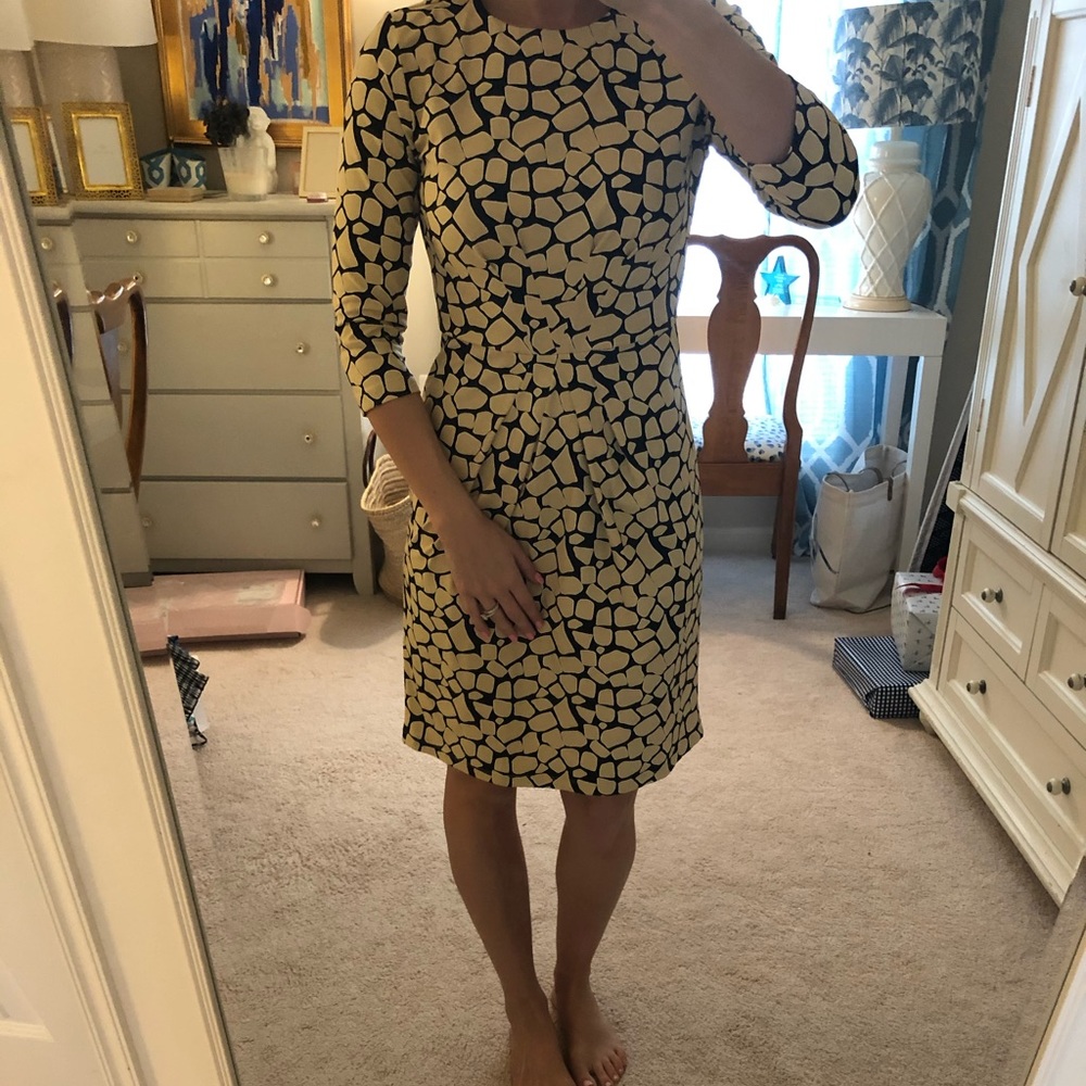 J McLaughlin Catalina cloth dress